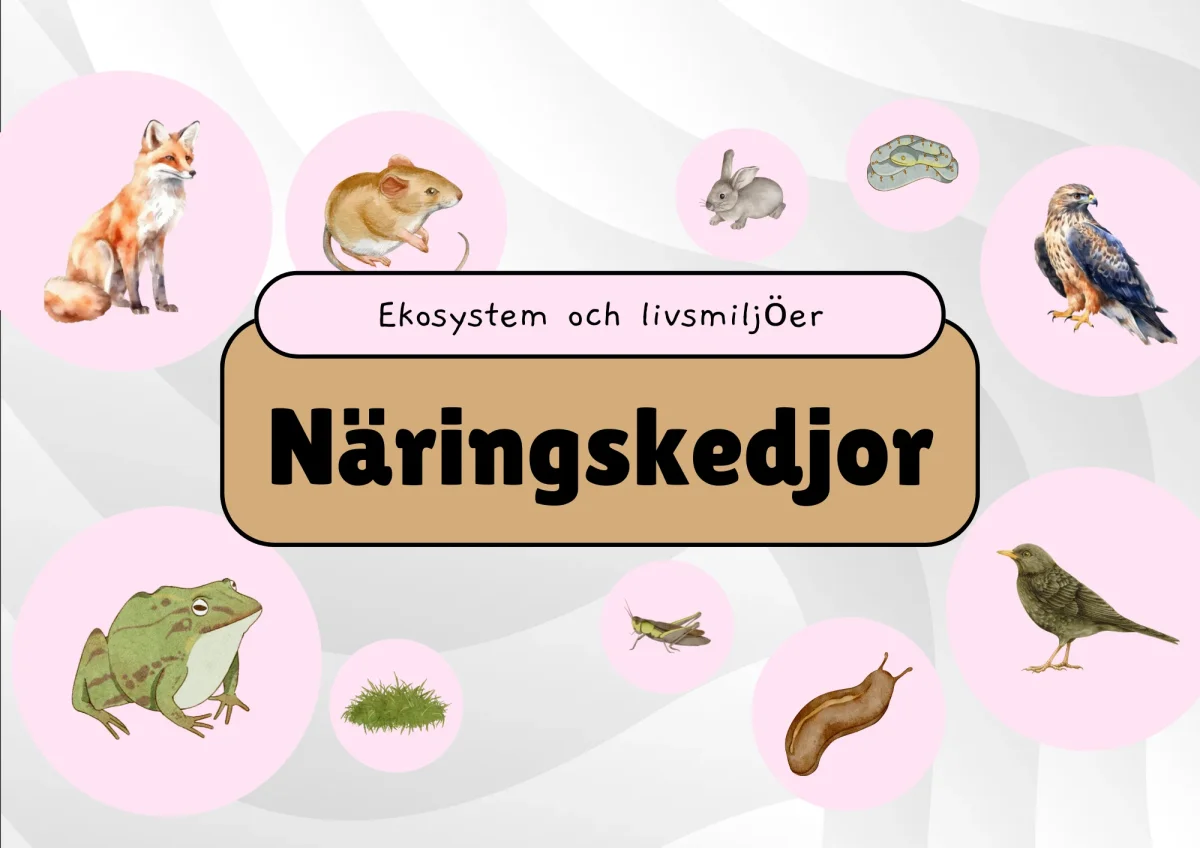 Näringskedjor - Ekosystem och livsmiljöer