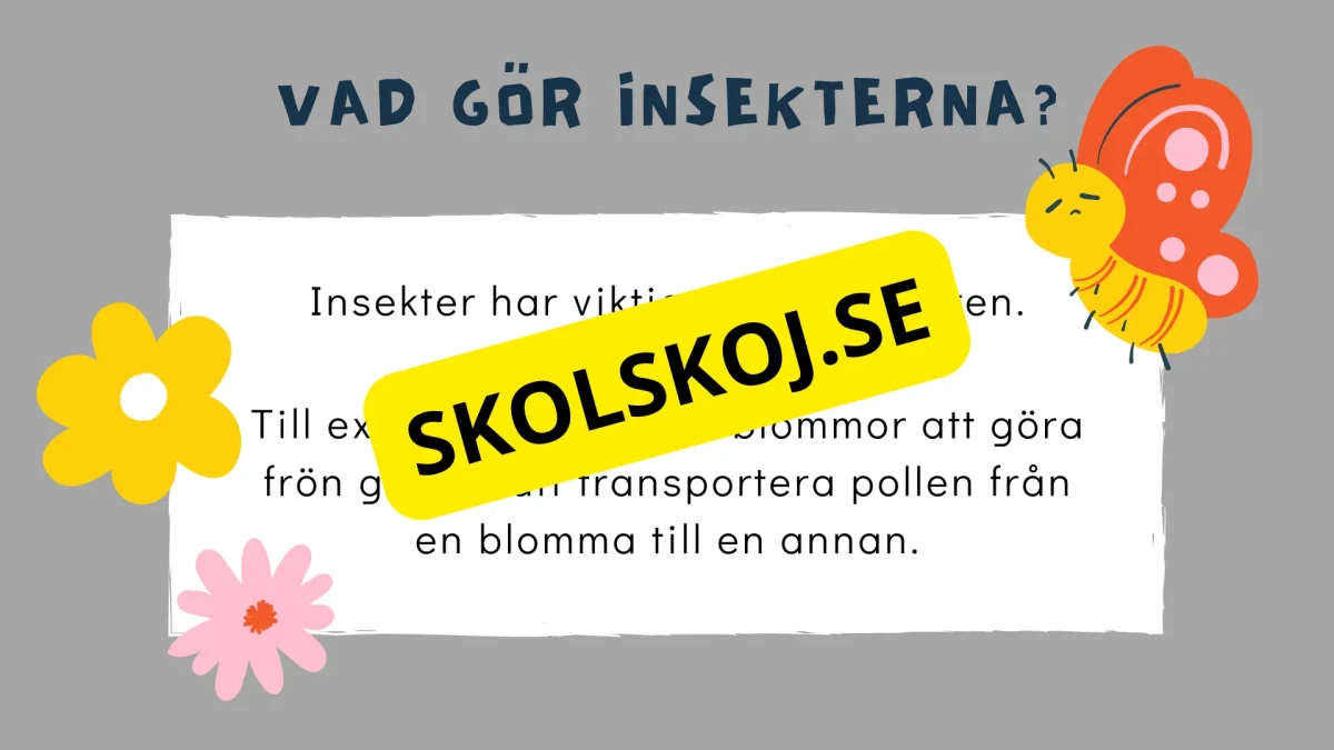 Upptäck insekternas värld - Häfte - Bild 5