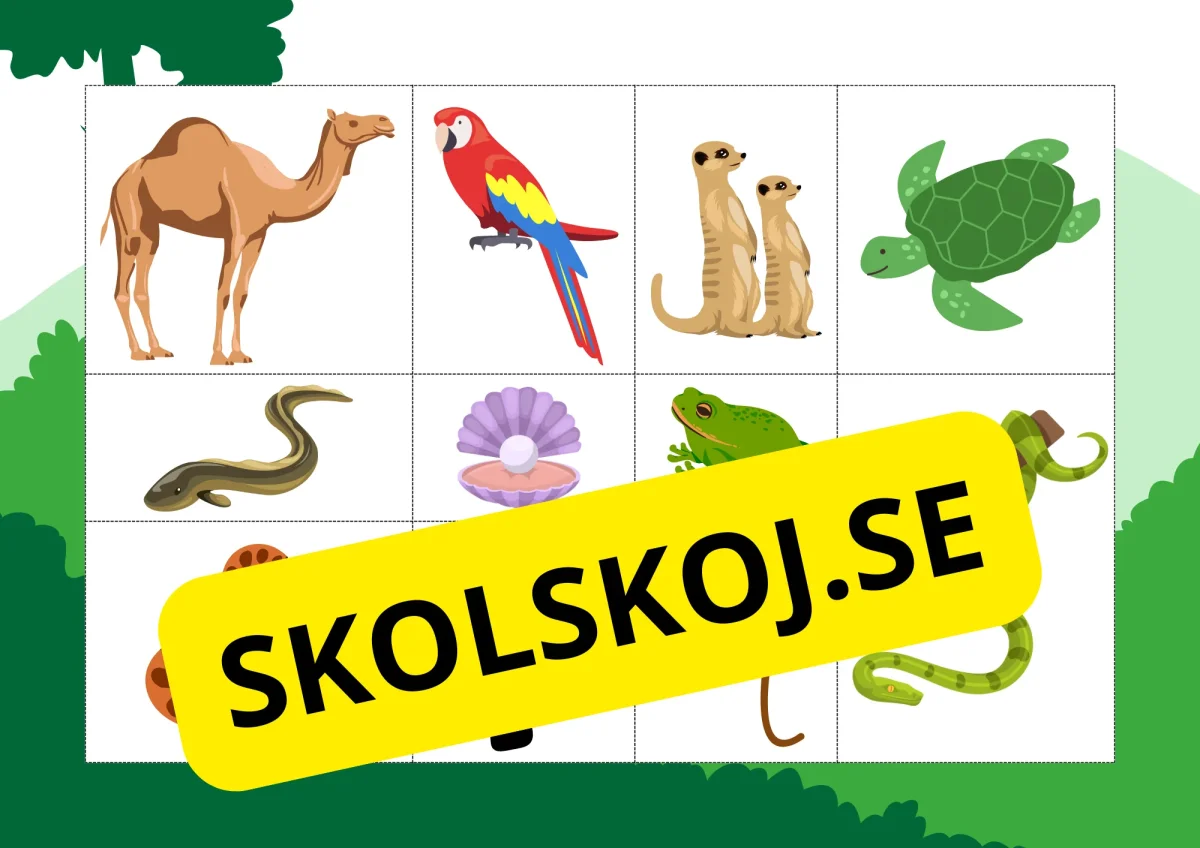 Hjälp djuren hitta sitt hem - Bild 8